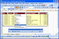 Microsoft Excel Lists - Filter Option