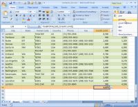 Microsoft Excel 2007 Lists - AutoSum Option