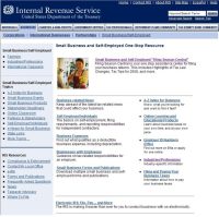 IRS portal screen shot