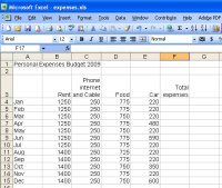 Excel worksheets and charts